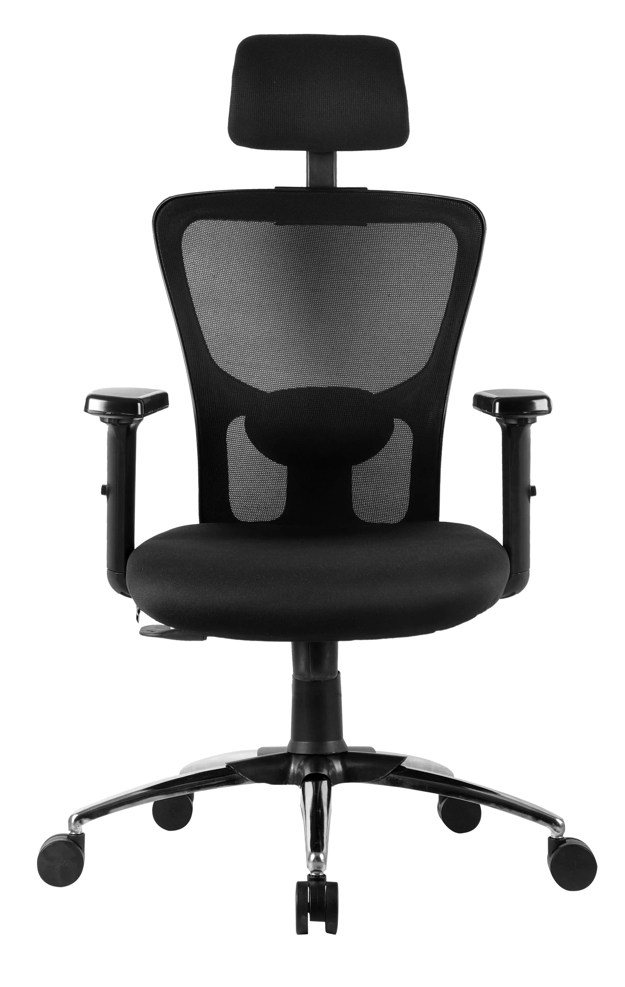 Ergonomic Comfort